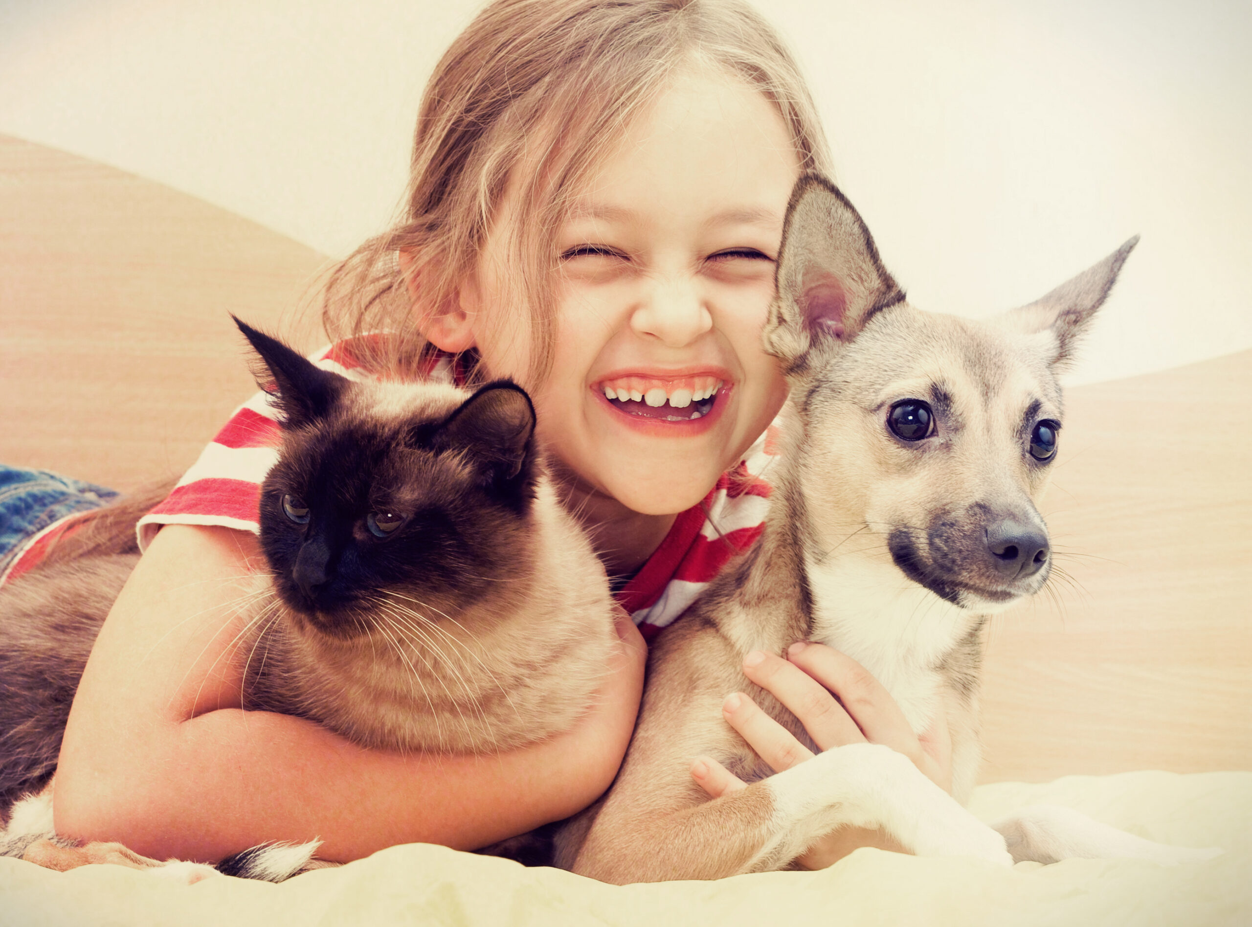 child-hugging-a-cat-and-dog-2