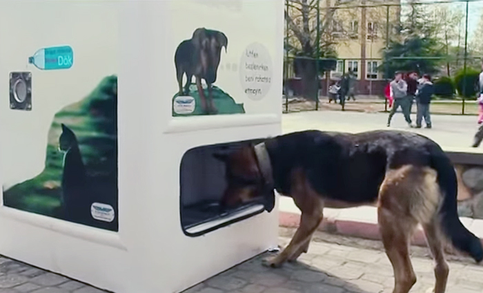 stray-dog-food-vending-machine-jpeg