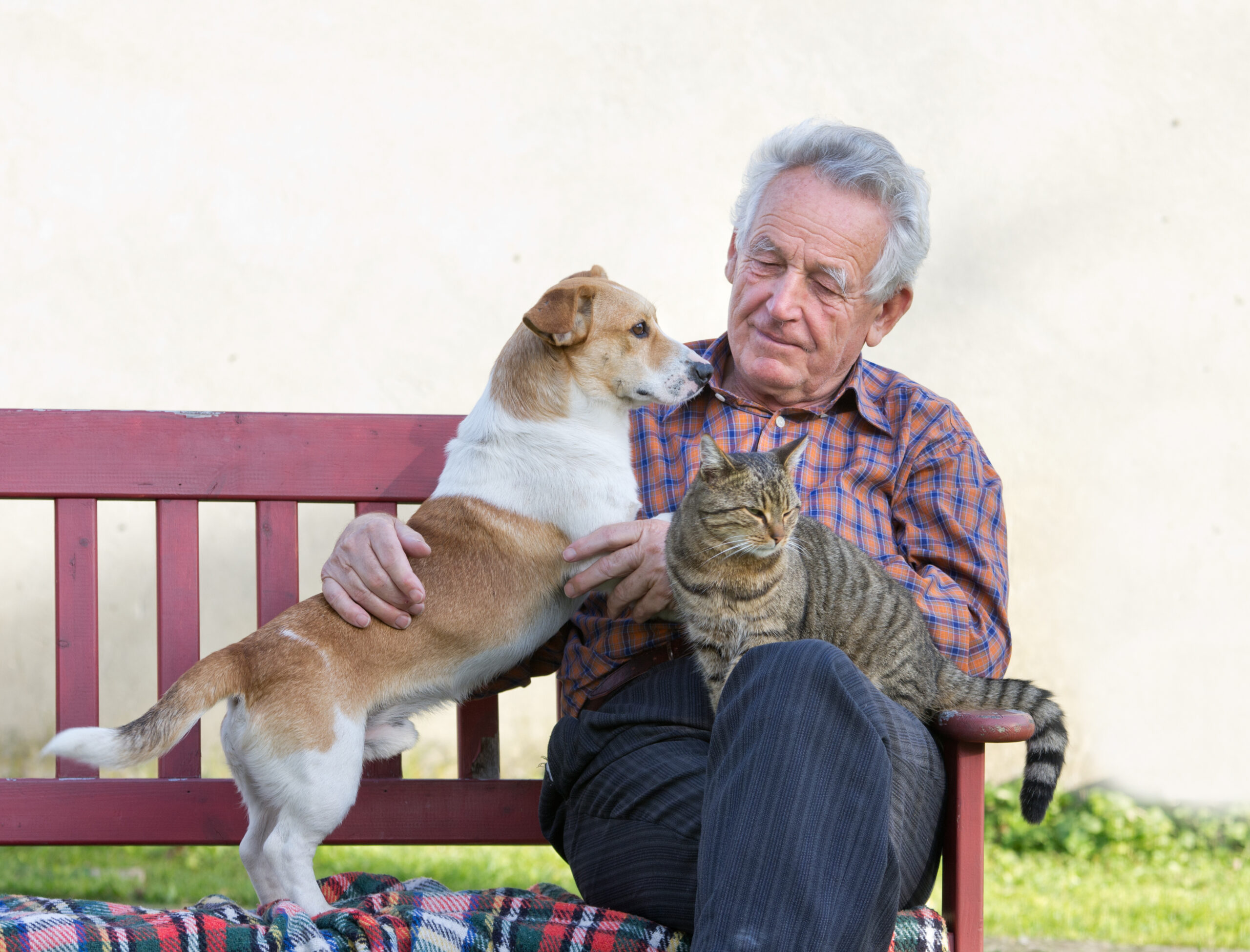 senior-man-wirh-dog-and-cat-on-his-lap-on-bench-4