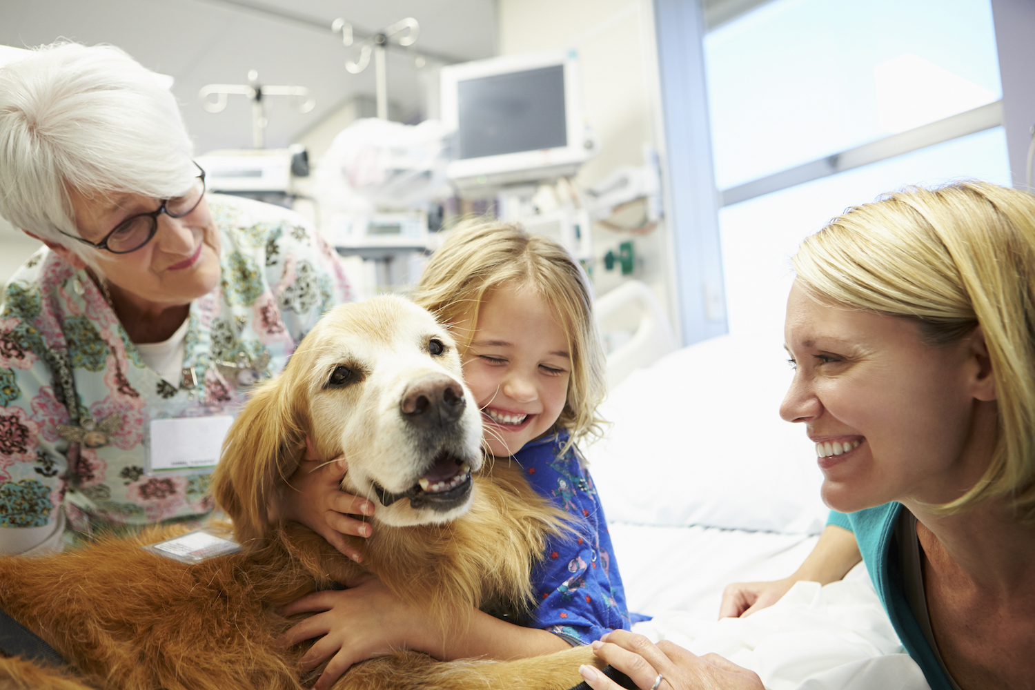 young-girl-being-visited-in-hospital-by-therapy-dog-2