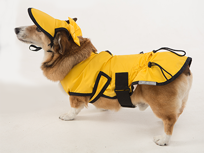 dog-raincoat-visor-bow-yellow-from-left
