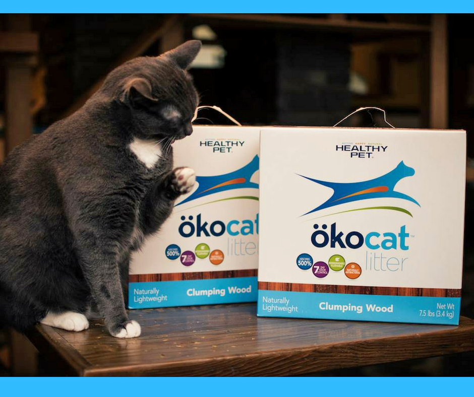 okocat-boxes-with-cat