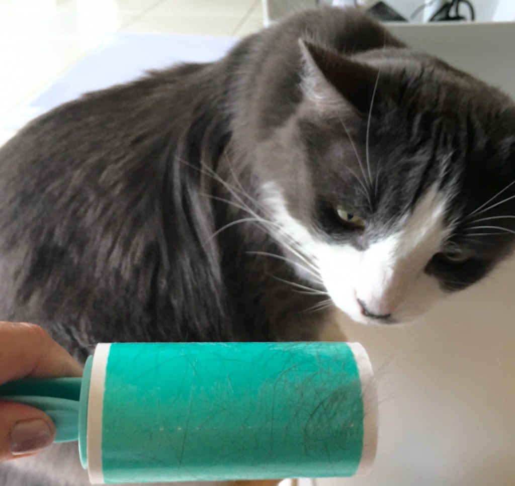 Lint rollers for pet fur a really great invention 