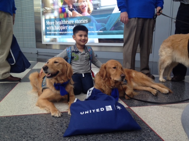 dogs to pat in airports to relieve stress -- a great idea 