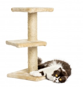 he foot of a cat tree, isolated on white