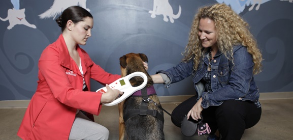 Its easy to check if a pet has a microchip