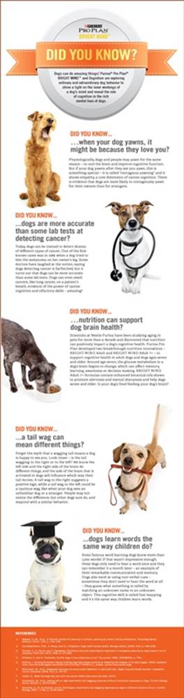 did you know about dogs behavior 
